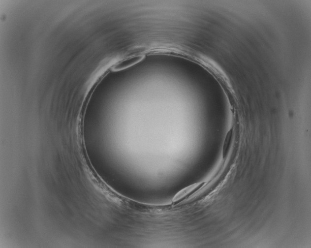 X0000065971190200603101349