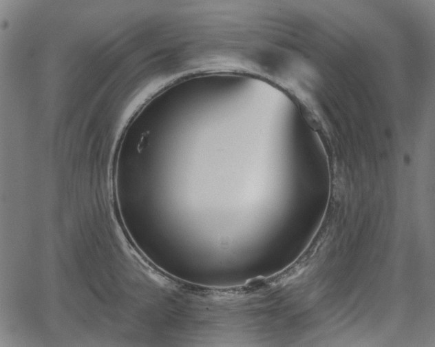 X0000065971191200603101349