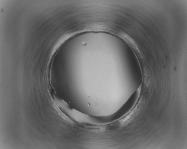 X0000065971192200603101349