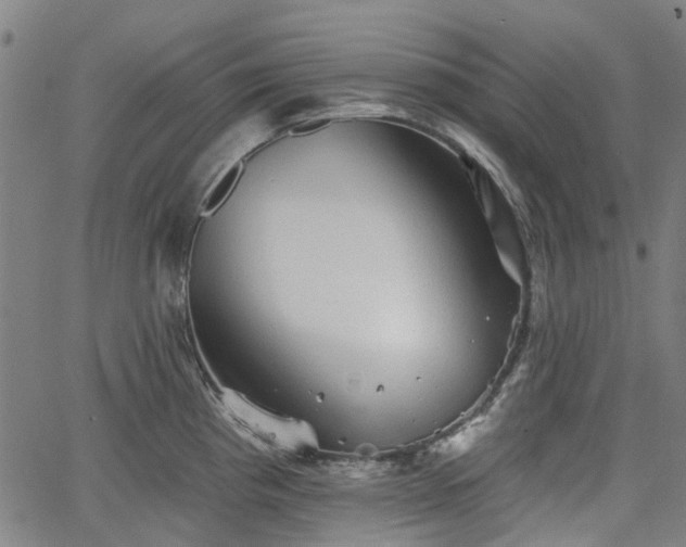 X0000065971193200603101349