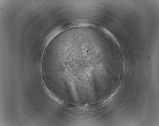 X0000065971194200603101349