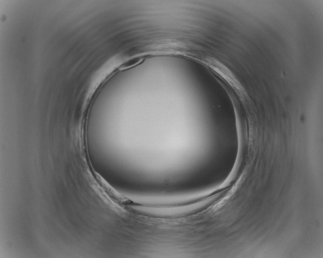 X0000065971196200603101349