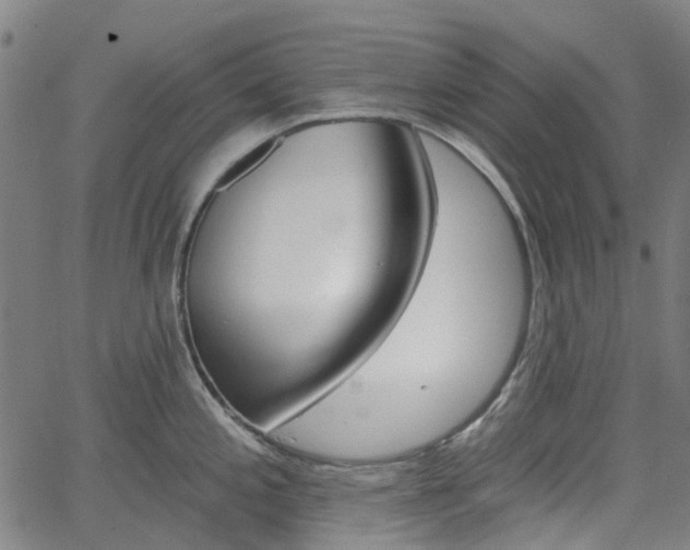 X0000065971197200603101349