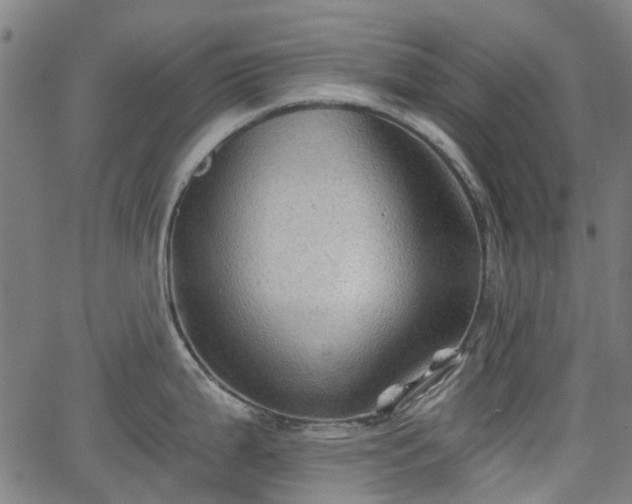 X0000065971199200603101349