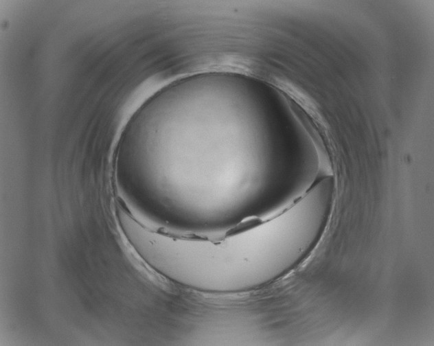 X0000065971200200603101349