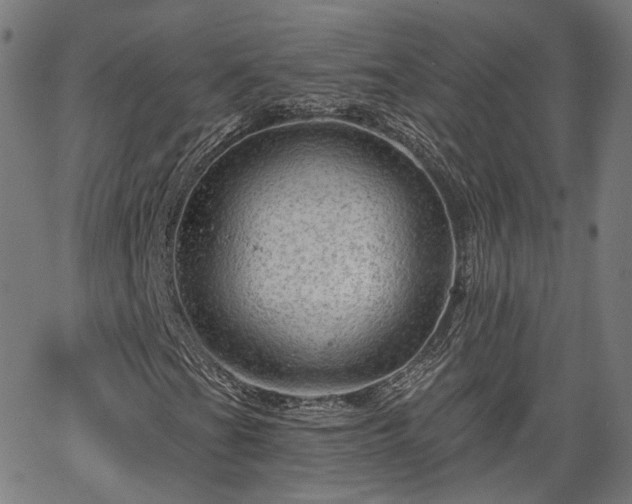 X0000065971201200603101348