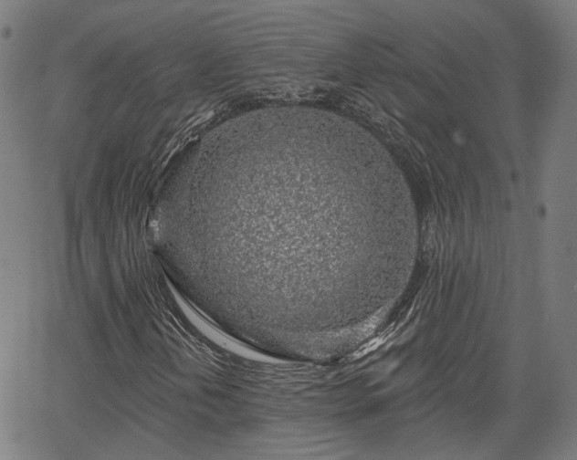 X0000065971202200603101348