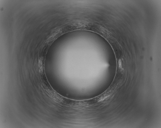 X0000065971203200603101349