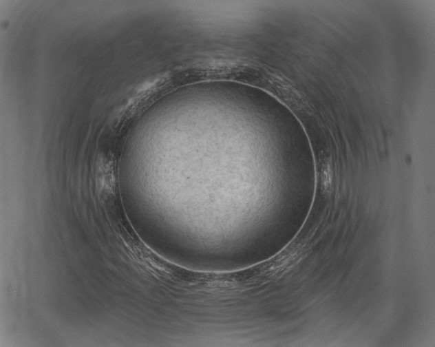 X0000065971204200603101349