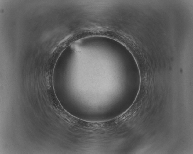 X0000065971205200603101349