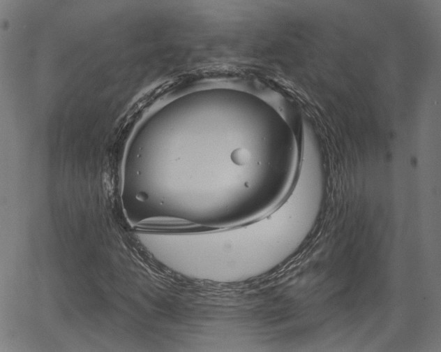 X0000065971206200603101349