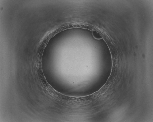 X0000065971207200603101349