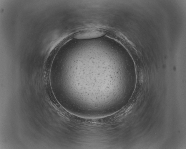 X0000065971208200603101349