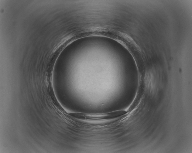 X0000065971209200603101349