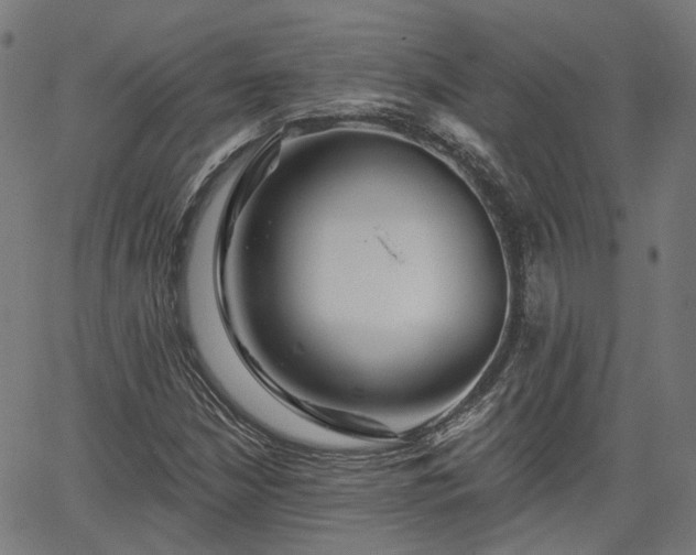 X0000065971210200603101349