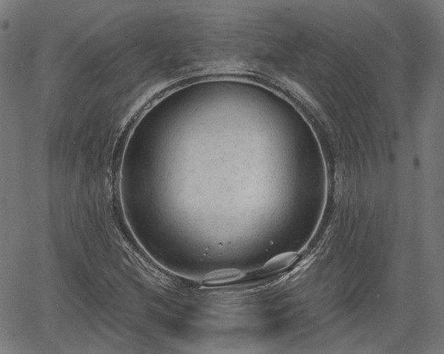 X0000065971212200603101349