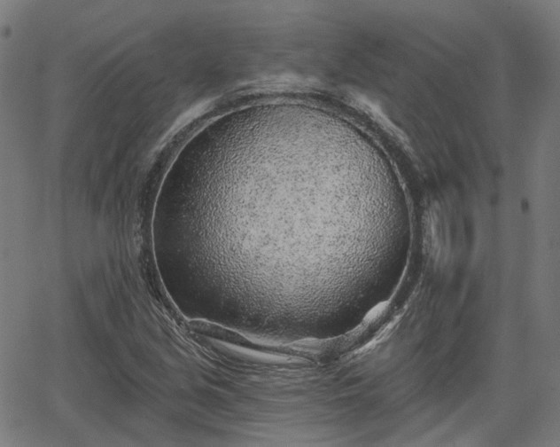 X0000065971213200603101349