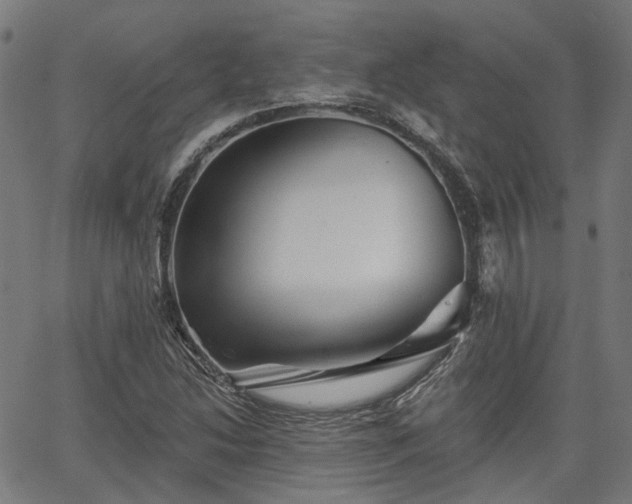 X0000065971214200603101349