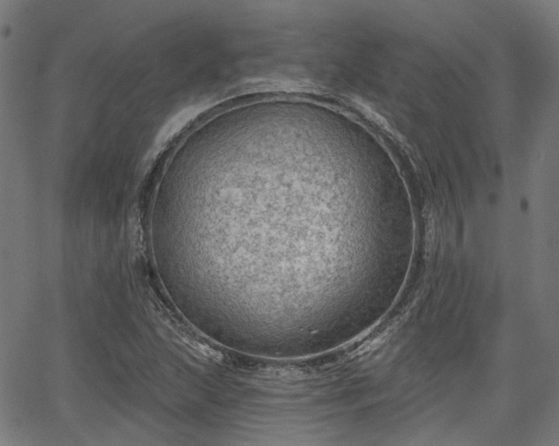 X0000065971215200603101349