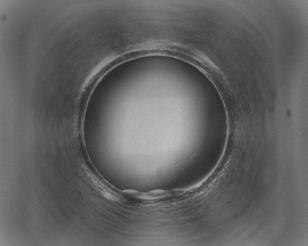 X0000065971216200603101349