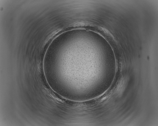 X0000065971217200603101349