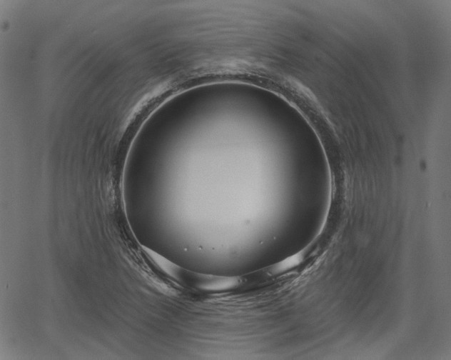 X0000065971218200603101349