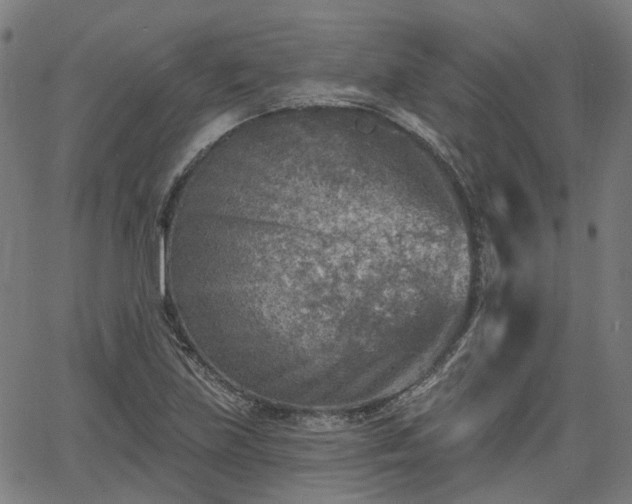 X0000065971219200603101349