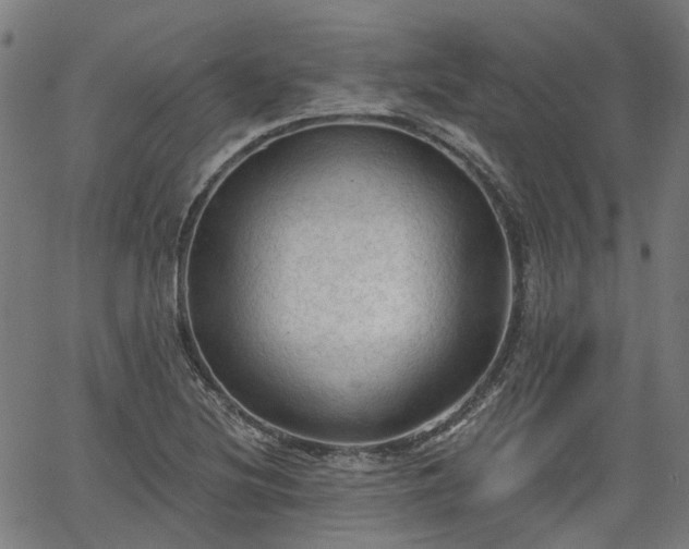 X0000065971220200603101349