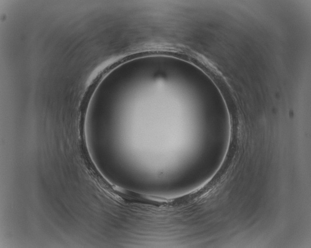 X0000065971222200603101349