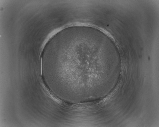 X0000065971223200603101349