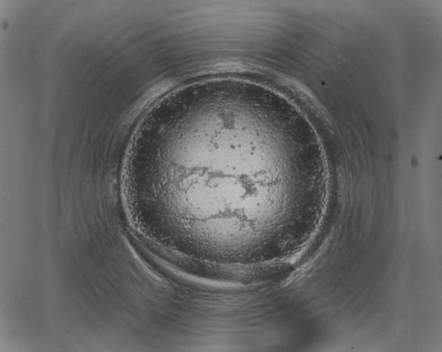 X0000065971225200603101349