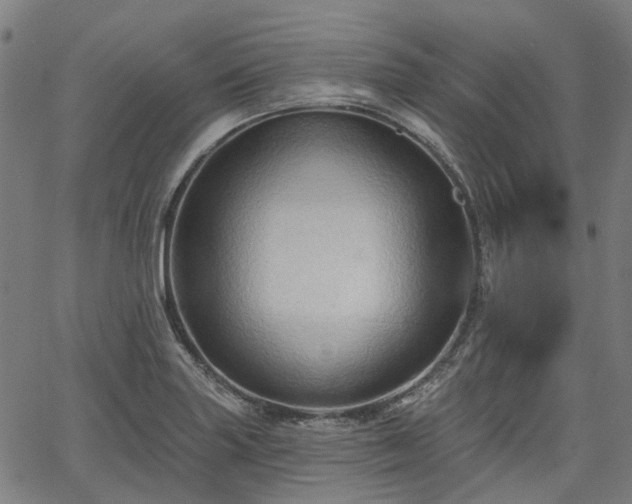 X0000065971227200603101349