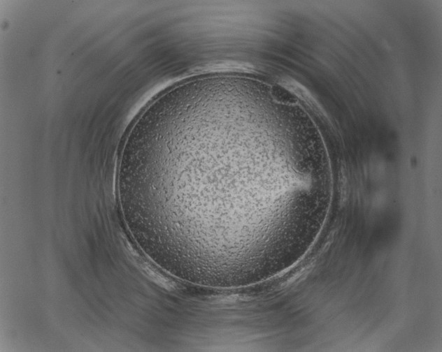 X0000065971228200603101349