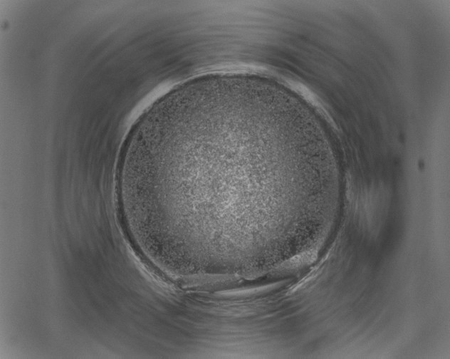 X0000065971229200603101349