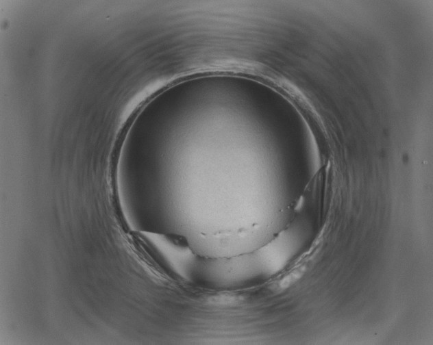 X0000065971230200603101349