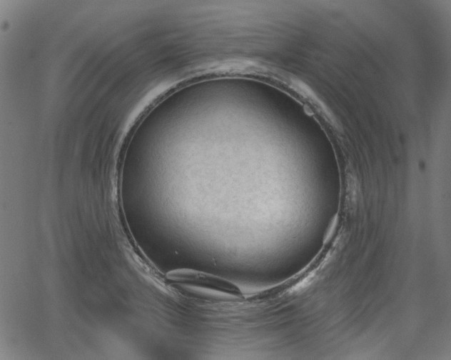 X0000065971232200603101349