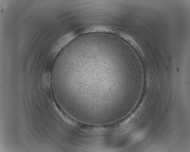 X0000065971233200603101349