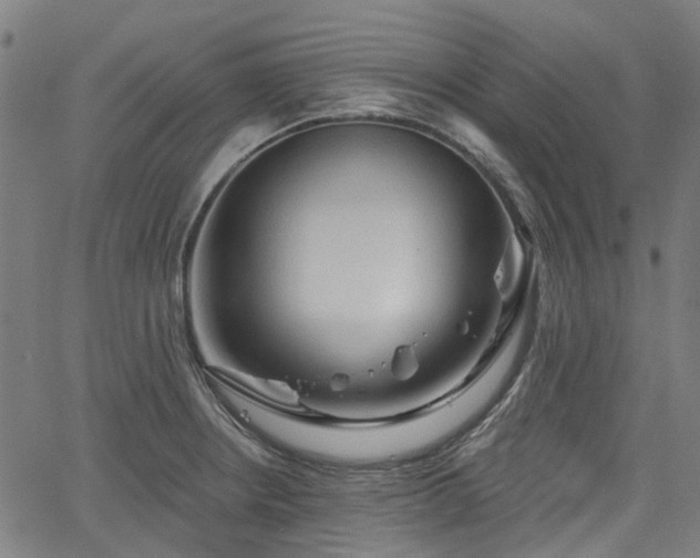 X0000065971234200603101349