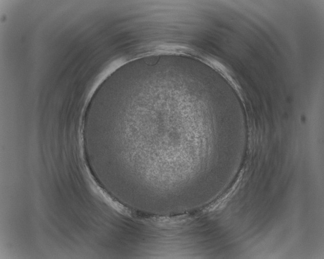 X0000065971235200603101349