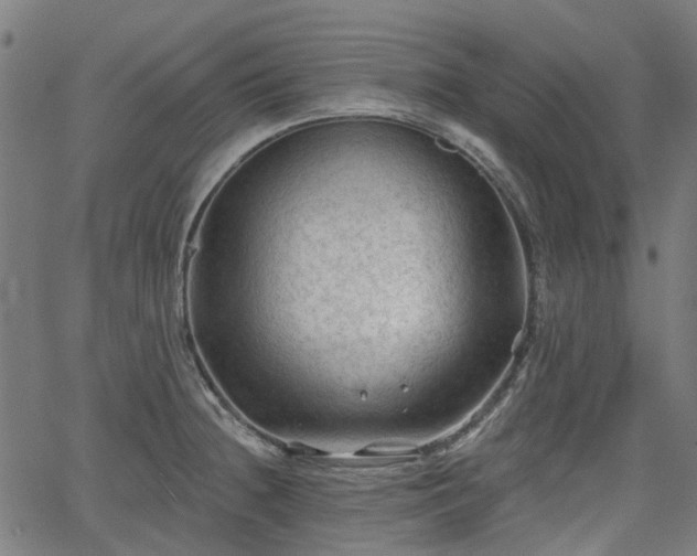 X0000065971236200603101349