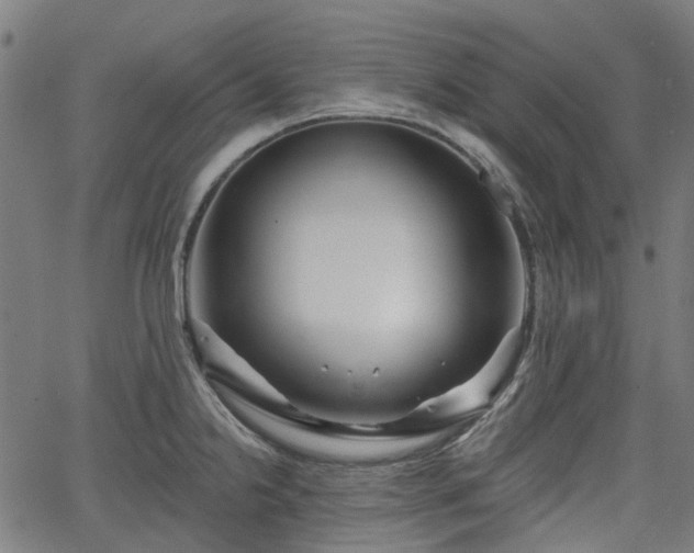 X0000065971238200603101349