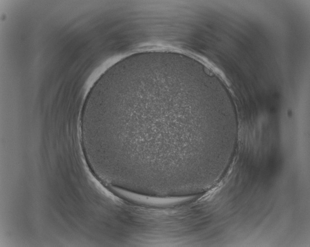 X0000065971239200603101349