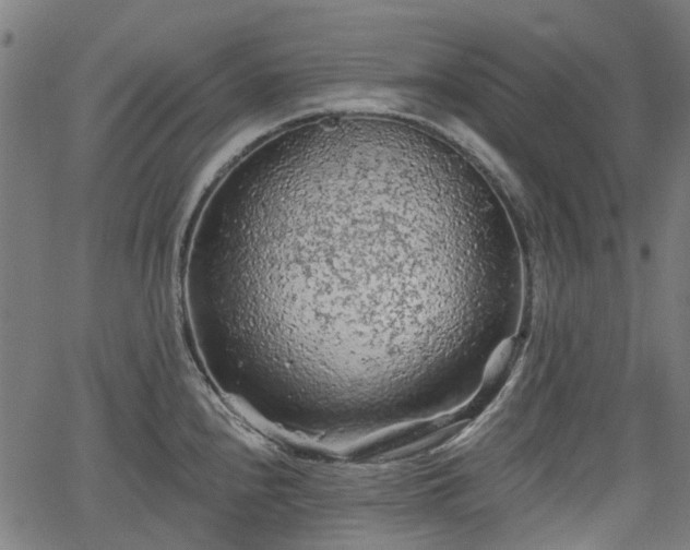 X0000065971240200603101349