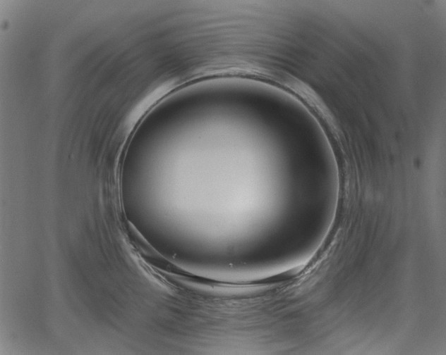 X0000065971242200603101349