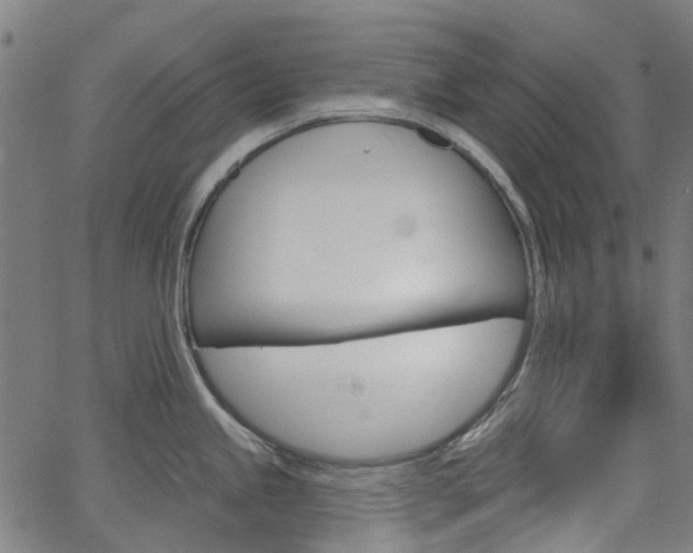 X0000065971245200603101349