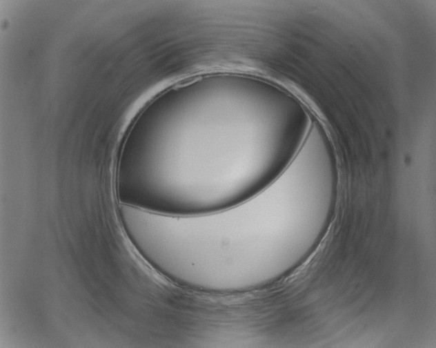 X0000065971246200603101349