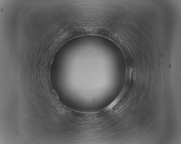 X0000065971249200603101348