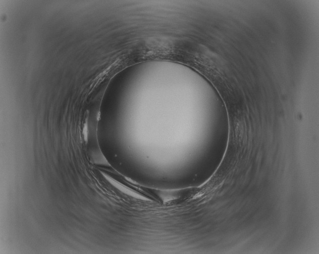 X0000065971250200603101348