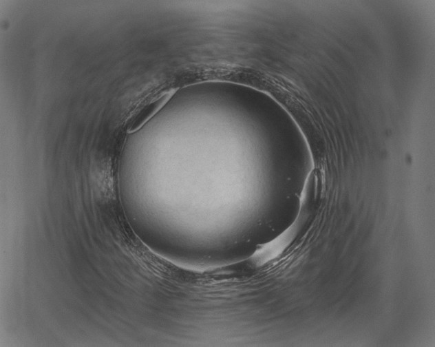 X0000065971252200603101348