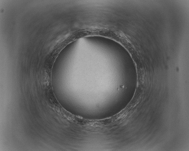 X0000065971253200603101348